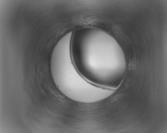 X0000060221156200510280904