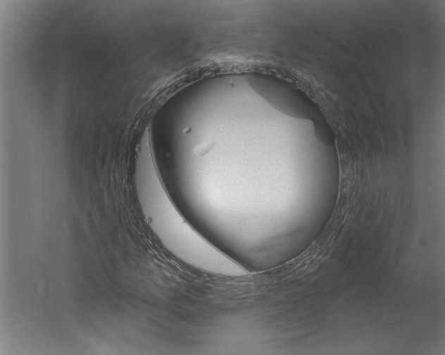 X0000060221157200510280904