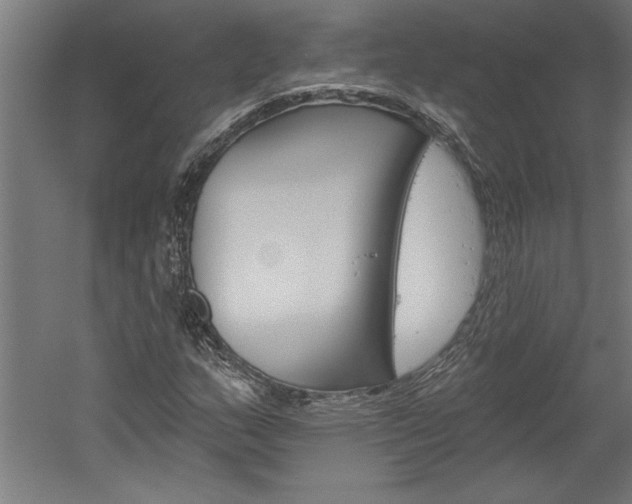 X0000060221159200510280904