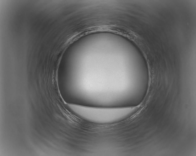 X0000060221161200510280904