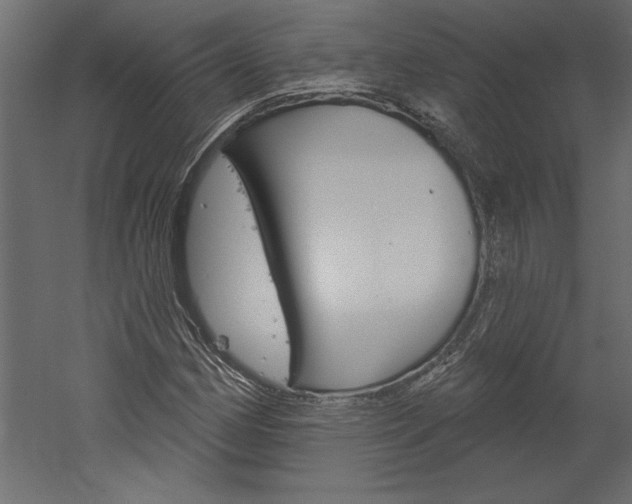 X0000060221162200510280904