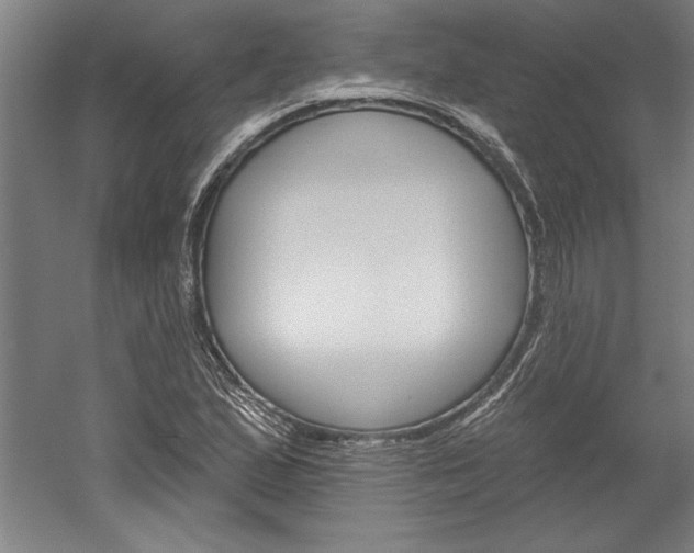 X0000060221167200510280904