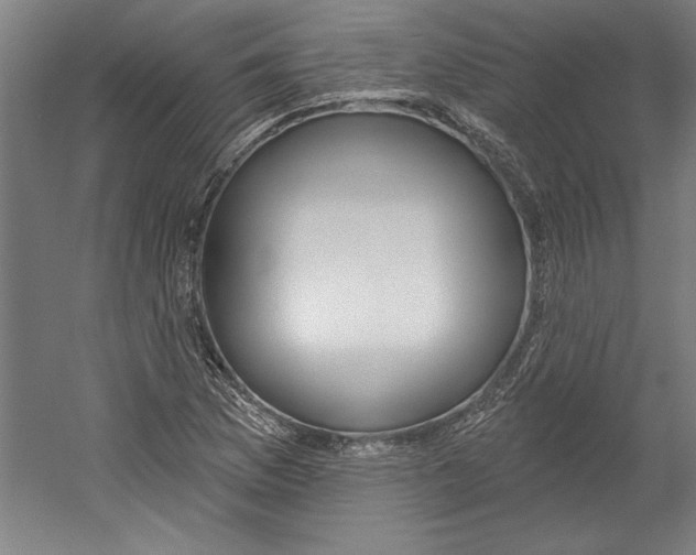 X0000060221169200510280904