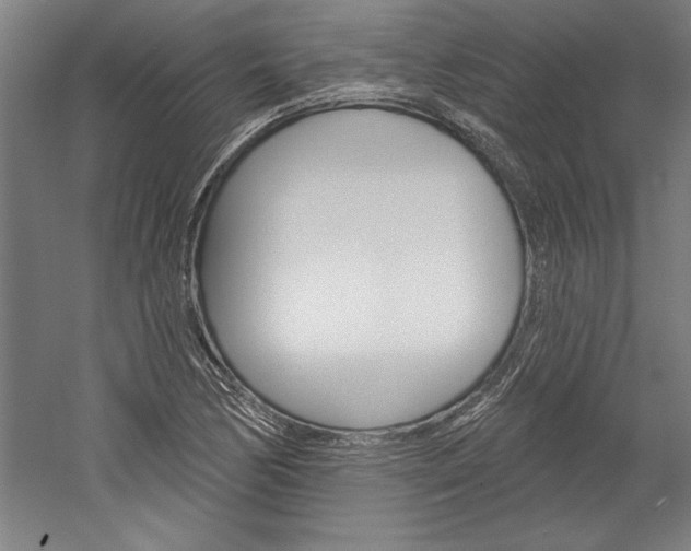 X0000060221170200510280904