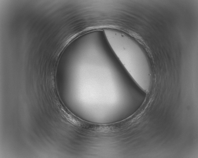 X0000060221177200510280904