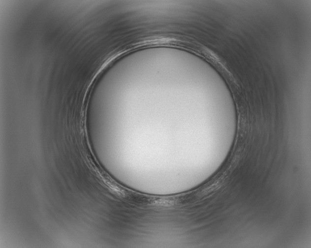 X0000060221178200510280904