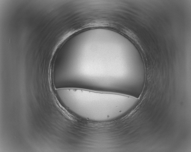 X0000060221179200510280903