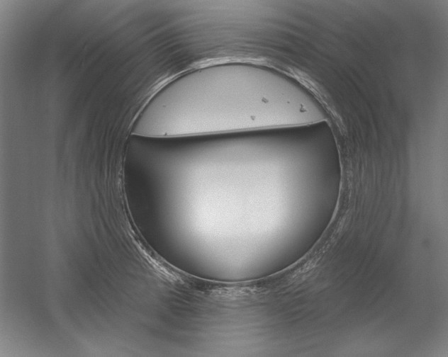 X0000060221185200510280903