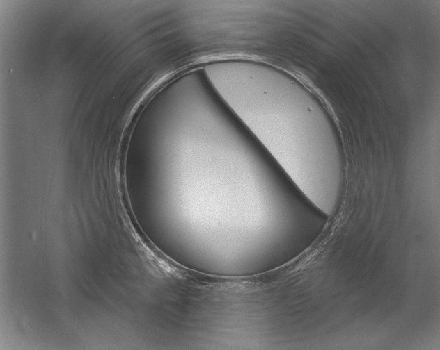 X0000060221189200510280903