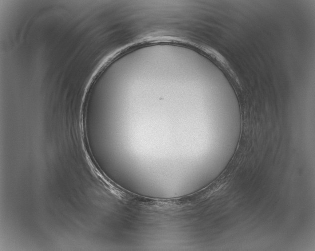 X0000060221191200510280903