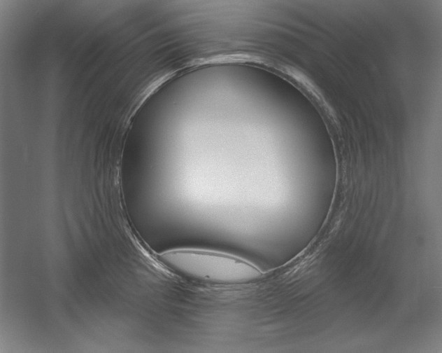 X0000060221193200510280903