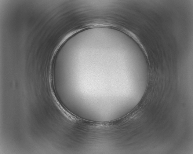 X0000060221195200510280903