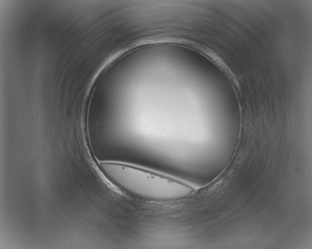 X0000060221197200510280903