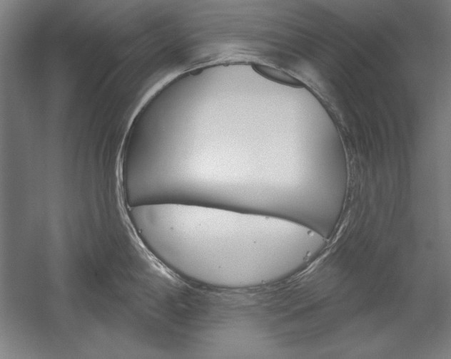 X0000060221198200510280903