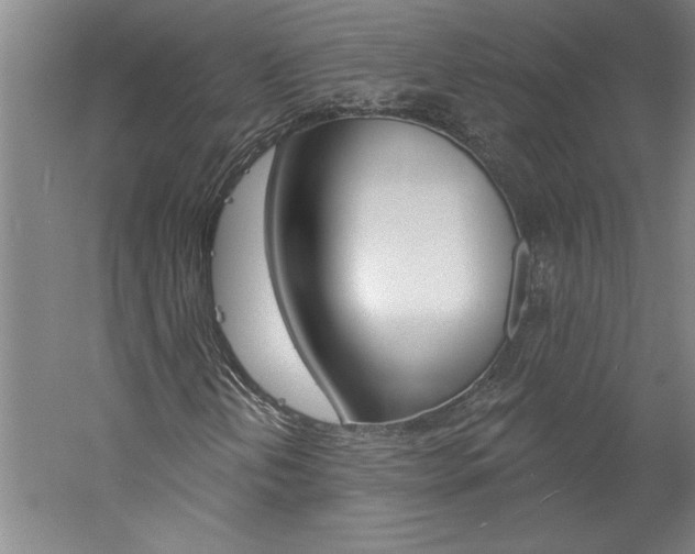 X0000060221202200510280902
