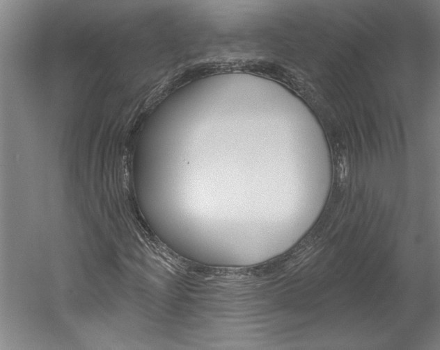 X0000060221204200510280902