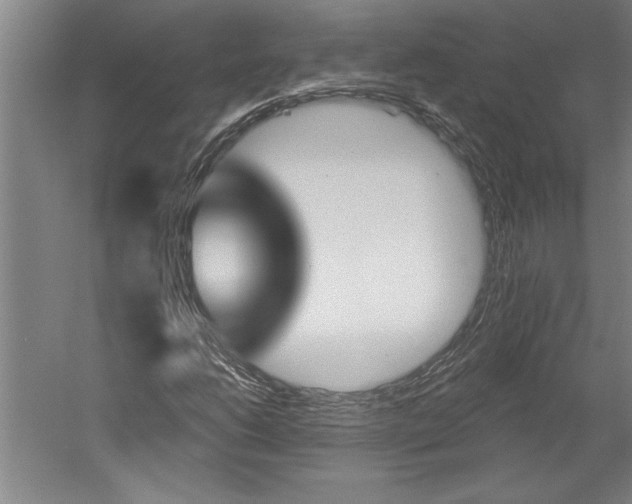 X0000060221206200510280902