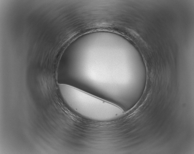X0000060221209200510280902