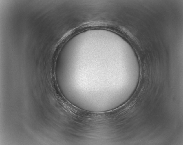 X0000060221213200510280903