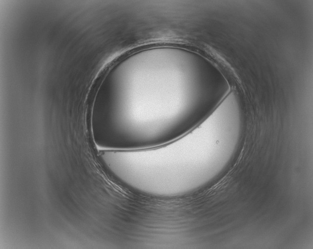 X0000060221222200510280903