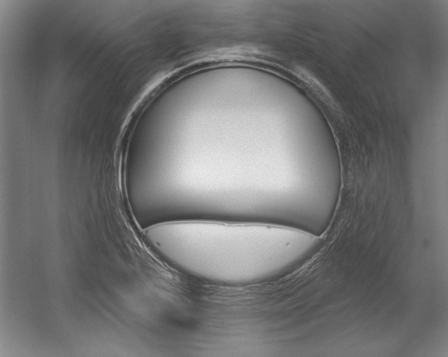 X0000060221224200510280903