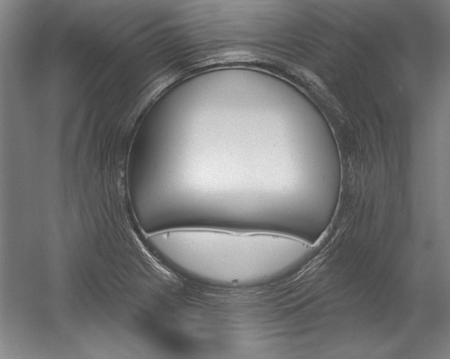X0000060221225200510280903