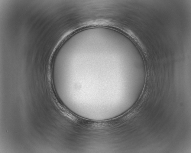 X0000060221232200510280903