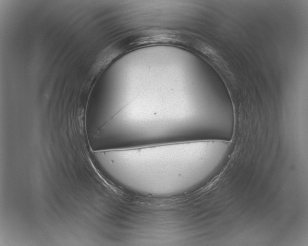 X0000060221233200510280903