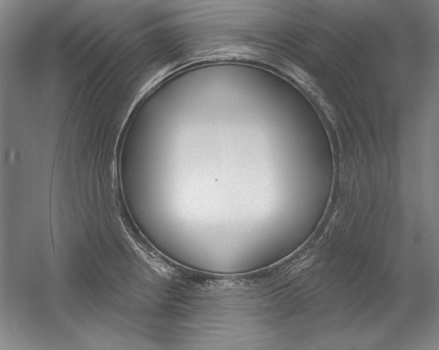 X0000060221234200510280903
