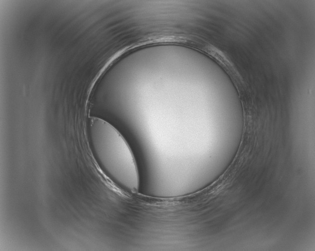X0000060221236200510280903