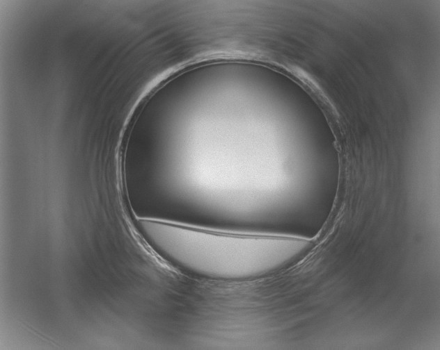 X0000060221238200510280903
