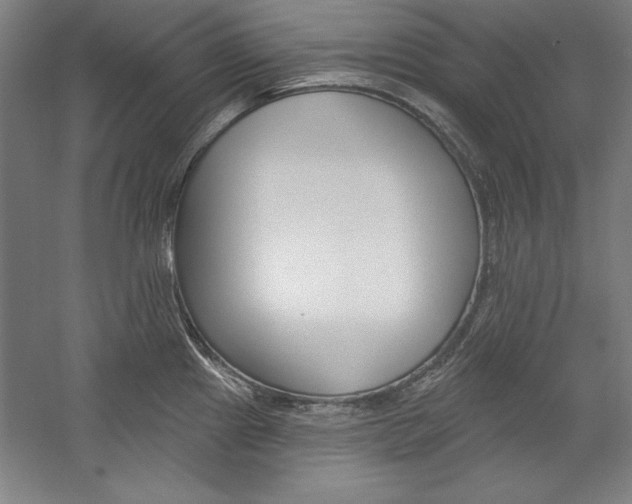 X0000060221241200510280903