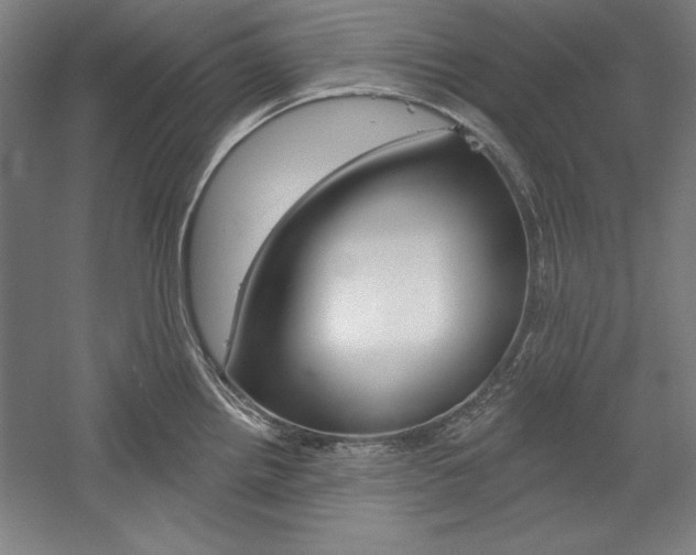 X0000060221242200510280903