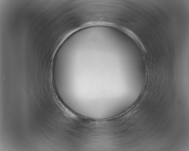 X0000060221244200510280903