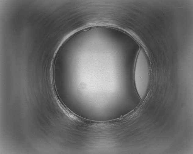 X0000060221246200510280903