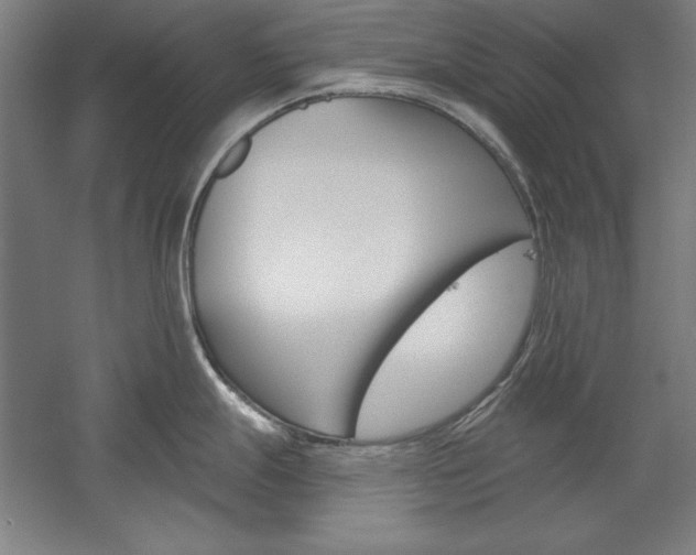 X0000060221247200510280903