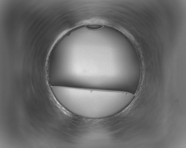 X0000060221248200510280903