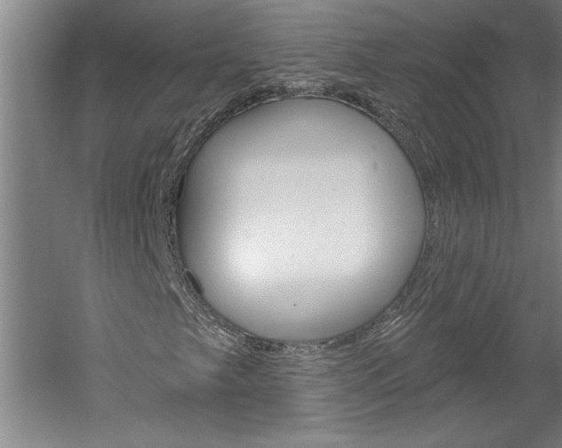 X0000060221249200510280902