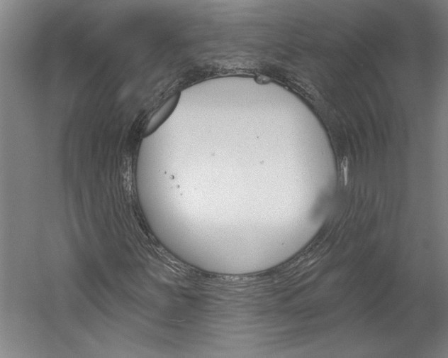 X0000060221251200510280902