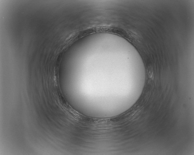 X0000060221252200510280902