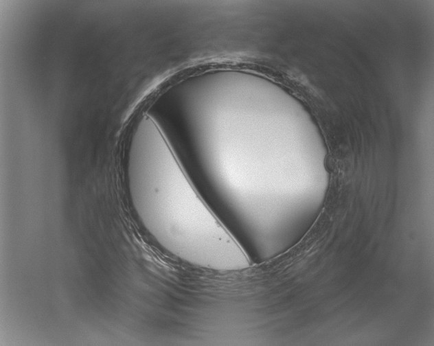 X0000060221256200510280902