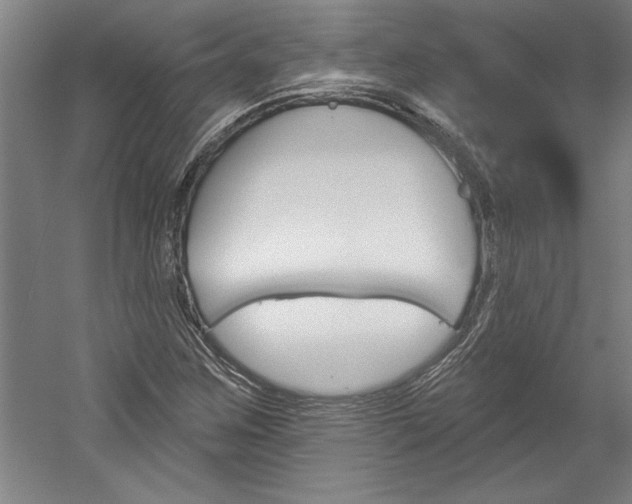 X0000060221259200510280902