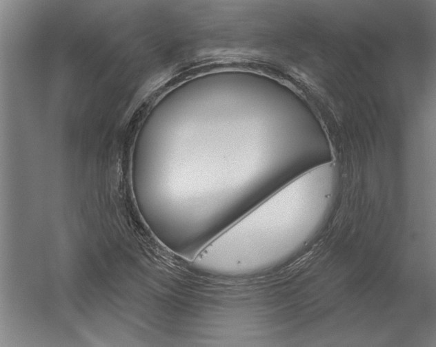 X0000060221261200510280902