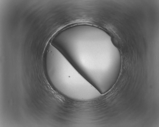 X0000060221268200510280902