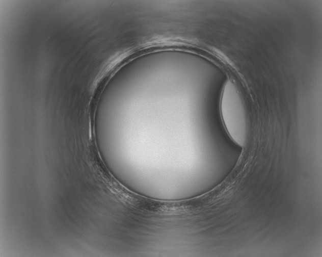 X0000060221269200510280902