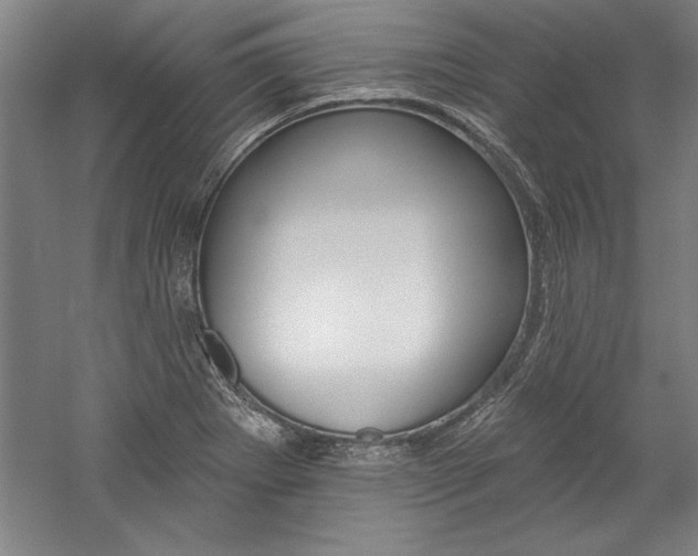 X0000060221273200510280902