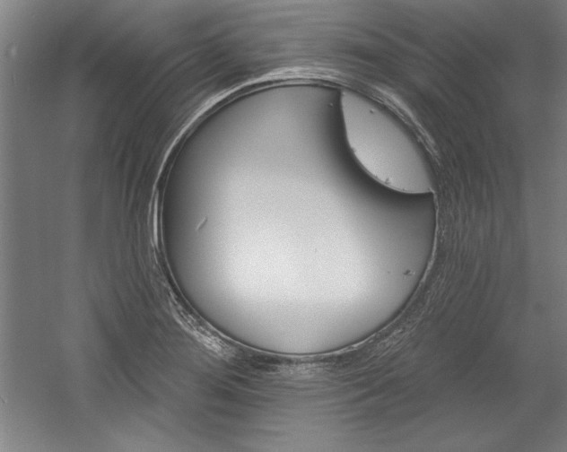 X0000060221276200510280902