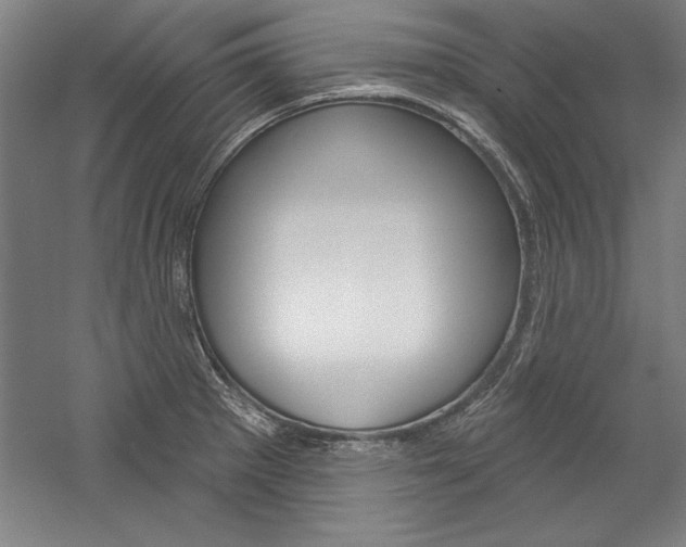 X0000060221281200510280902
