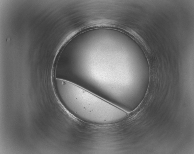 X0000060221285200510280902