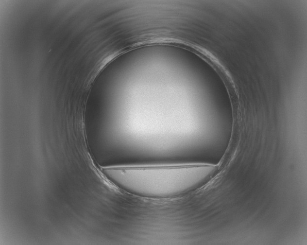 X0000060221289200510280902